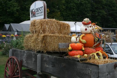 Pumpkins on a Hayride
